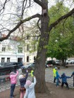 Vycházka na Toulovcovo náměstí k tématu Dne Země. Environmentální činnost - příroda ve městě.