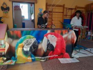 Co děláme celý rok 2025/2026