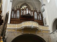 Co děláme celý rok 2025/2026