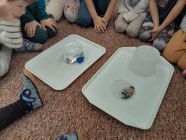 Co děláme celý rok 2025/2026