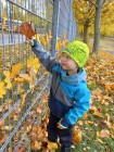 Téma Drak: Za poznáním při pobytu venku, zdobení - rozvíjení jemné motoriky, umístění, poznávání tvarů, přírodnin.