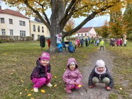 Téma Lidské tělo: Pobyt v parku se zaměřením na procvičení hmatu a zraku - Struktura povrchu země (kamínky x hlína,tráva).