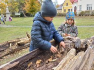 Téma Lidské tělo: Pobyt v parku se zaměřením na environmentální činnost, pozorování, hmatové vnímání - Život stromů. Broučku, kde jsi?