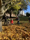 Podzimní brigáda - hrabání listí.