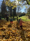 Podzimní brigáda - hrabání listí.