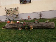 Zahradní slavnost - odloučené pracoviště
