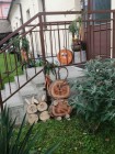 Zahradní slavnost - odloučené pracoviště