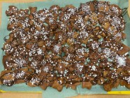 Předvánoční čas