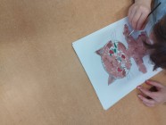 Předškoláci - odloučené pracoviště